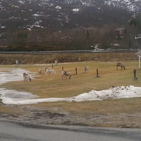 Hotel Tjeldsundbrua Camping Evenskjer