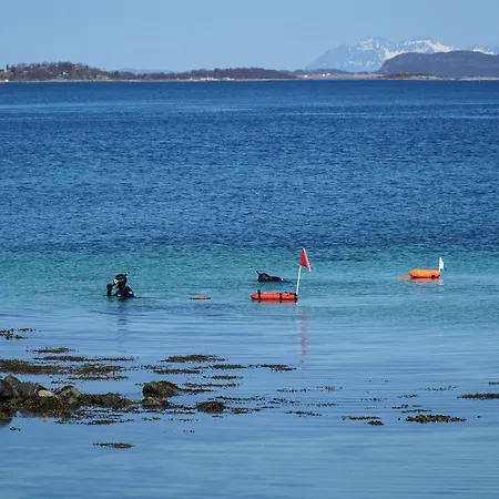 Tjeldsundbrua Camping Hotell 2*