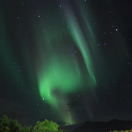 Tjeldsundbrua Camping 2* Evenskjer