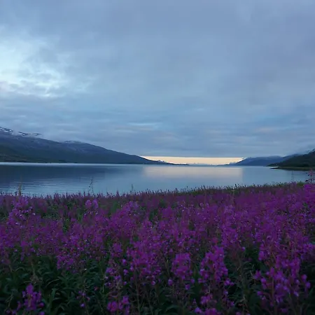 Отель Tjeldsundbrua Camping