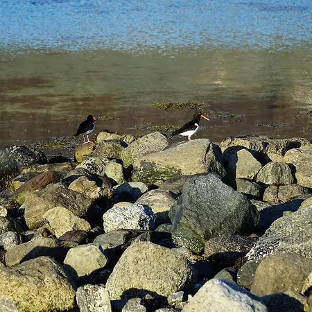 Tjeldsundbrua Camping