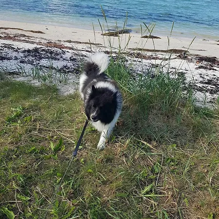 Tjeldsundbrua Camping 2*